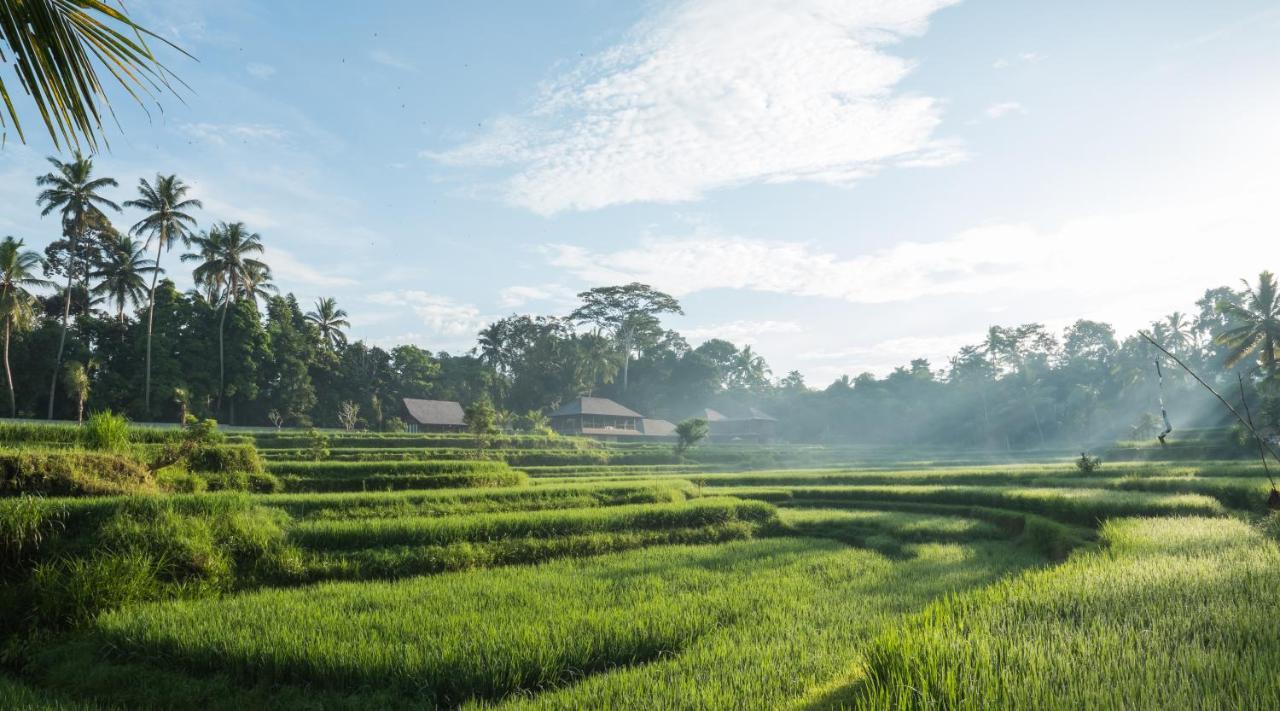 Benisari Batik Garden Cottage ウブド エクステリア 写真
