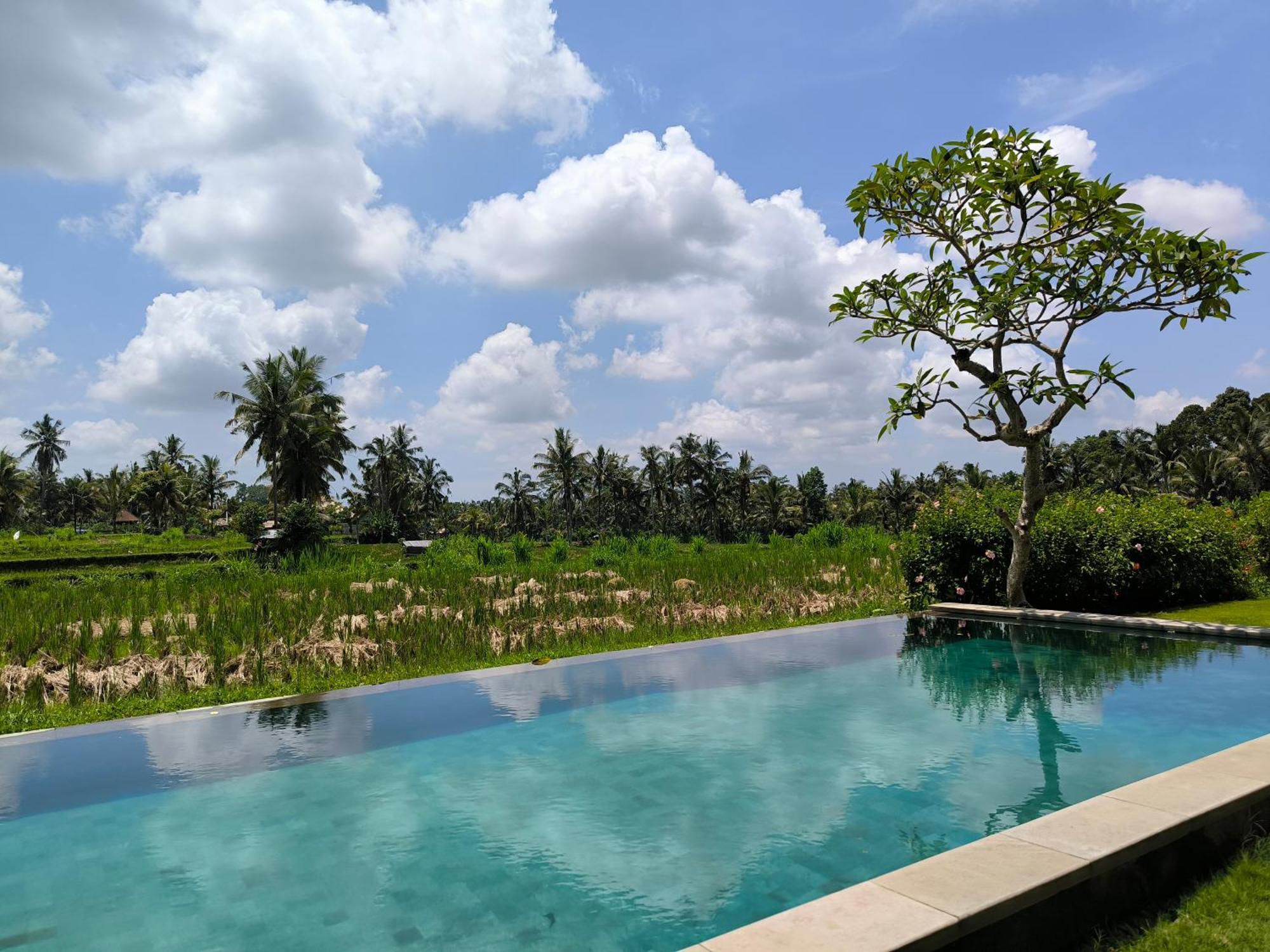 Benisari Batik Garden Cottage ウブド 部屋 写真
